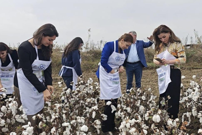 Əlcəzair səfiri Biləsuvarda pambıq yığımına qatılıb