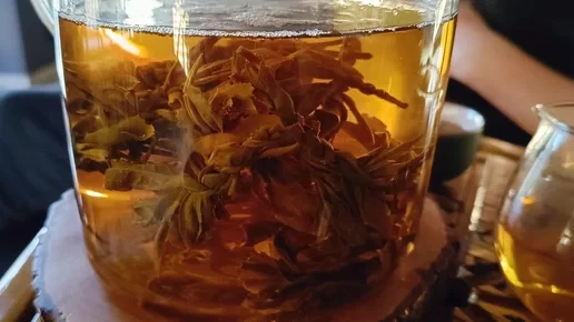 Lənkəranda mini çay sexi qurulacaq