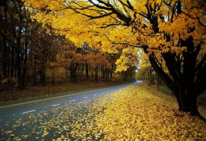 Sabah hava necə olacaq?