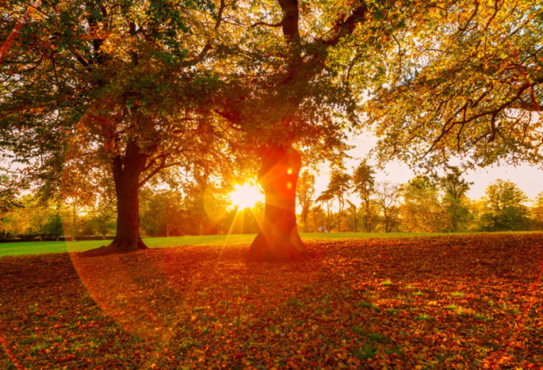 Sabahın hava proqnozu açıqlanıb