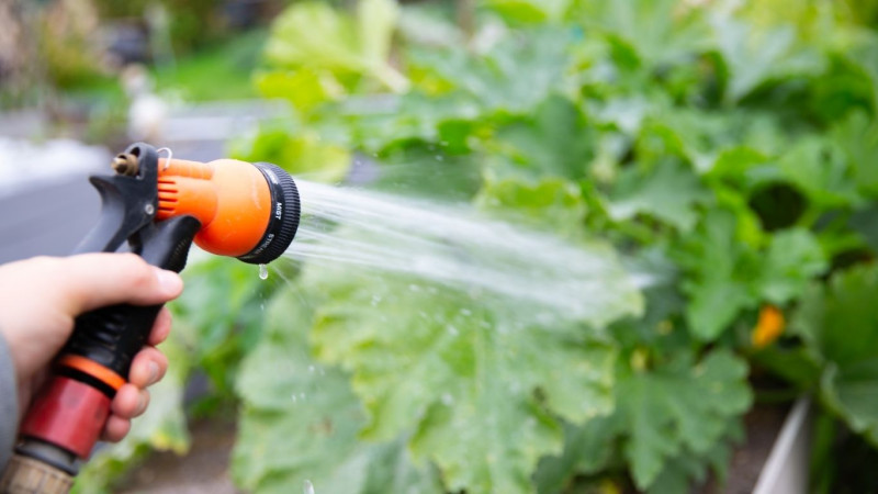 Deputat: Kəndlilərin çoxu torpağını suvarmaq üçün su tapmır