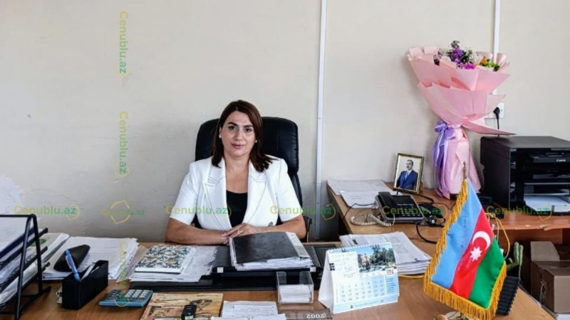 Lənkəranda direktorla bağlı araşdırma başladı