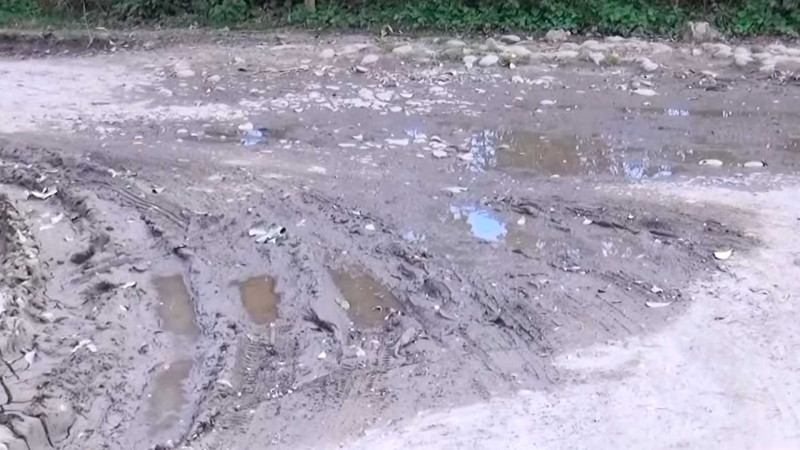 Masallıda yolsuzluq problemi: “Çuxuru biz doldurmasaq, maşın gəlmir” - VİDEO