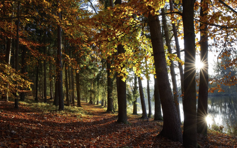 Sabah hava yağmursuz olacaq - PROQNOZ