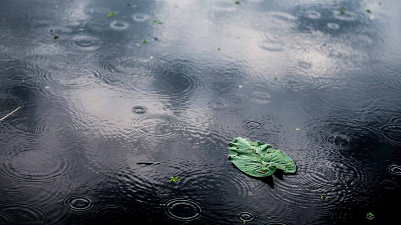 Sabahın havası açıqlanıb