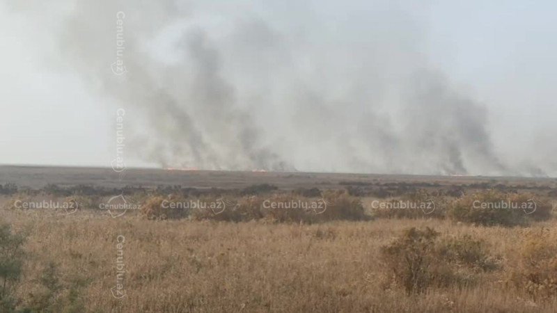 Cəlilabadda ovçuluq təsərrüfatı ərazisində yanğın başlayıb - VİDEO