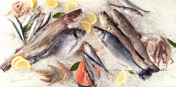 Bu gün Neftçalada balıq festivalı keçirilir