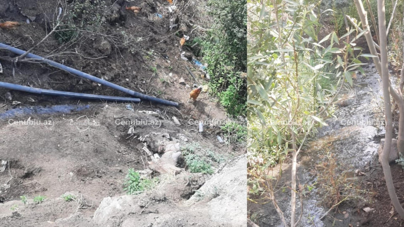 Lerikdə su mənbəyi təhlükə altındadır