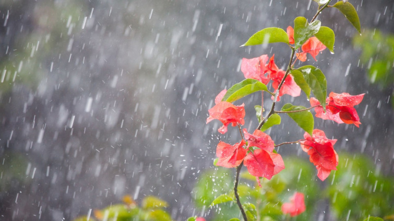 Leysan olacaq, qar yağacaq - XƏBƏRDARLIQ