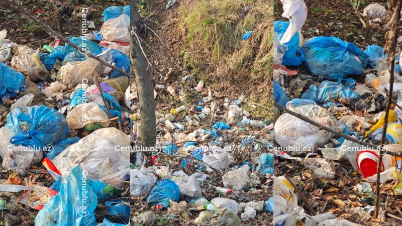 Cəlilabadda Mişarçayı zibilliyə çevrilib