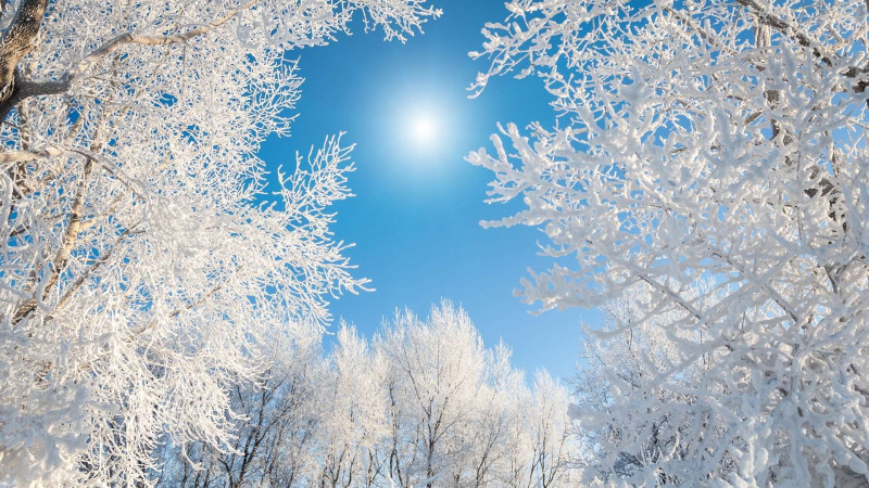 Cənubda külək güclənəcək - XƏBƏRDARLIQ