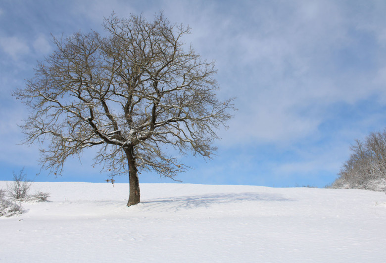 Sabah hava necə olacaq?