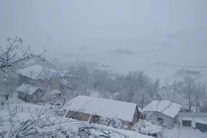 Cəlilabad–Yardımlı yolu bağlanıb