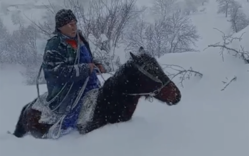 Lerikin kəndlərinin elektrik enerjisi ilə təchizatı bərpa ediləcək