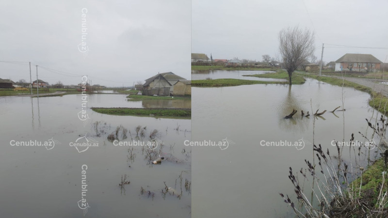 Viləşçay daşdı: Masallıda əkin sahələri su altında qaldı