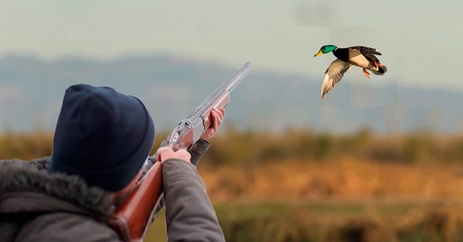 Azərbaycanda ov mövsümü uzadılıb