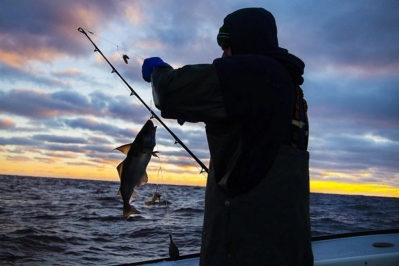 Neftçalada balıq ovlamaq istəyən şəxs suda boğulub