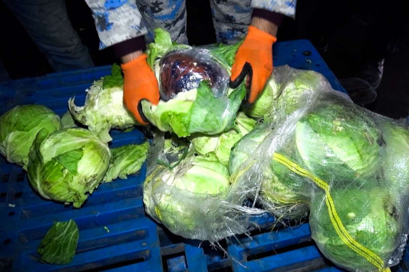 Gömrükdə kələm yükündən narkotik aşkarlanıb