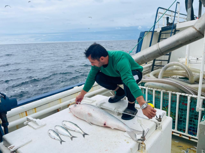 Kənd təsərrüfatı sahəsindəki vergi güzəştləri balıqçılığa da şamil ediləcək