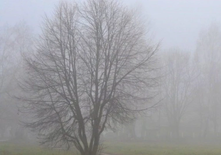 Duman olacaq, külək güclənəcək - SABAHIN HAVASI