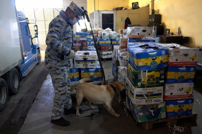 Astara gömrüyündə qarpızdan narkotik tapıldı