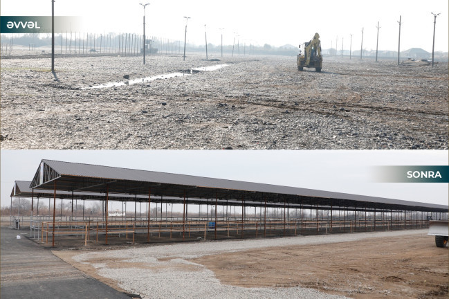 İmişli heyvan bazarının fəaliyyətinə icazə verilib