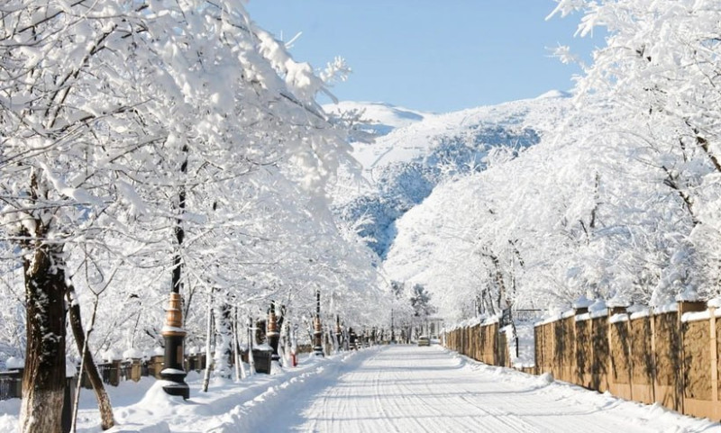 Cənubda FAKTİKİ HAVA