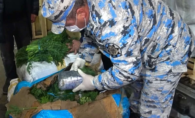 İrandan Rusiyaya göyərti aparan TIR-da narkotik aşkarlandı