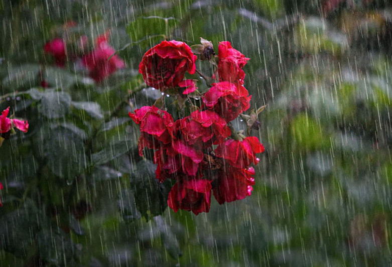 Sabah hava necə olacaq?