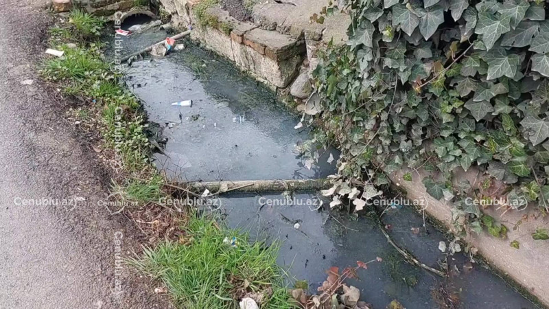 Lənkəranda kanallar dolur, su həyətlərə axır