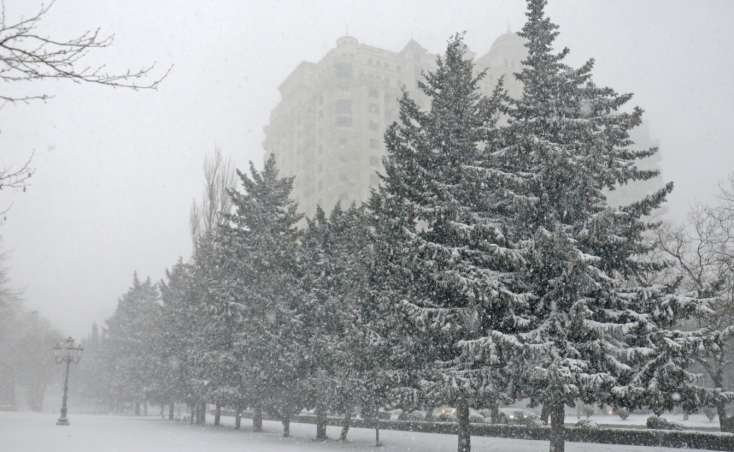 Lerikdə qarın hündürlüyü 15 sm-ə çatıb - FAKTİKİ HAVA
