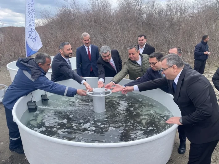 Kür çayına 4 000 ədəd çəkikimi balıq körpələri buraxılıb