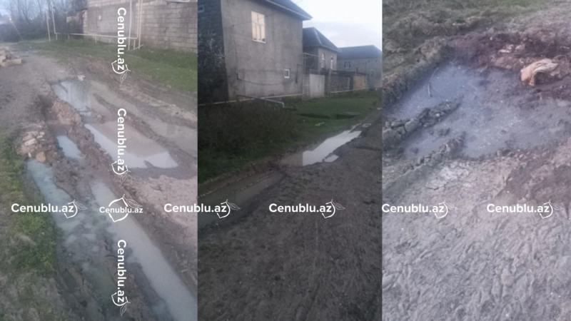 Lənkəranın Digah kəndində yolsuzluq