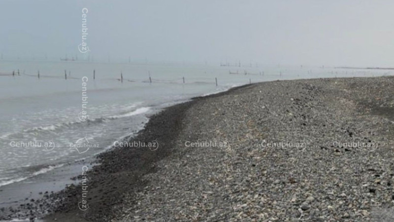 Lənkəran sahillərində mazut tullantıları narahatlıq yaradır