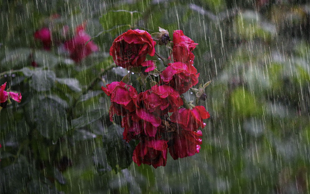 Sabah intensiv yağış yağacaq, şimşək çaxacaq