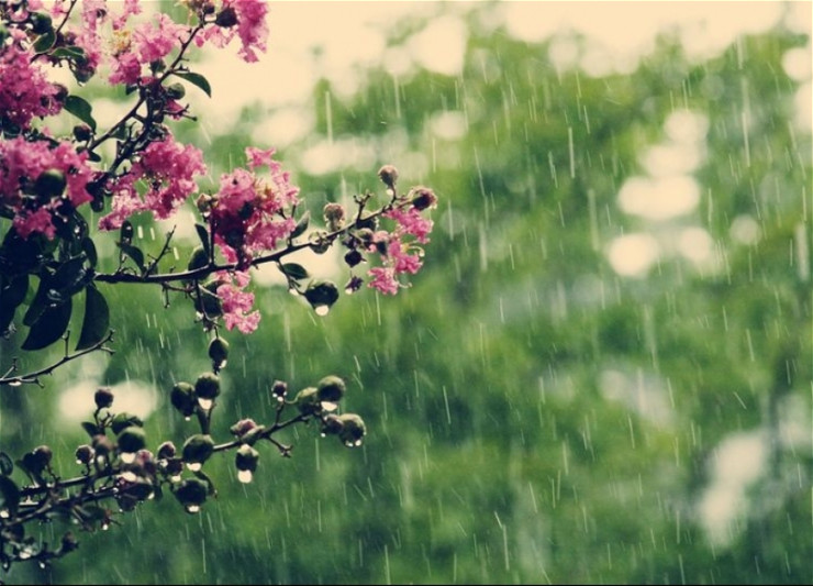 Faktiki hava açıqlanıb