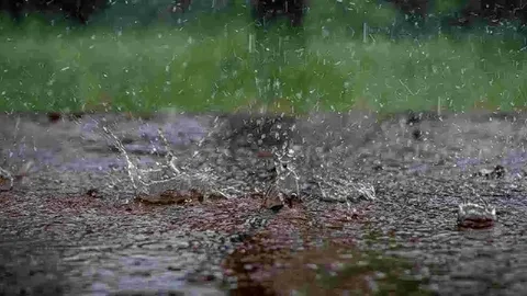 Sabah hava necə olacaq?