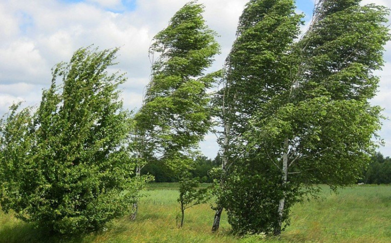 Küləkli hava ilə bağlı sarı və narıncı xəbərdarlıq verilib