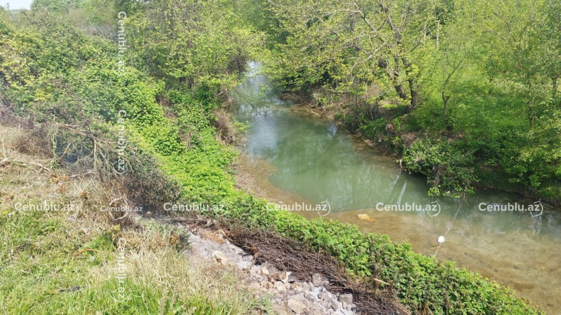 Lənkəranda torpaq sürüşməsi: 200 metrlik ərazi çaya töküldü