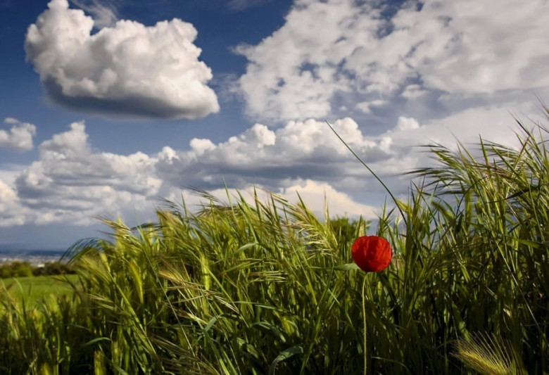 Sabah Azərbaycanda hava necə olacaq?