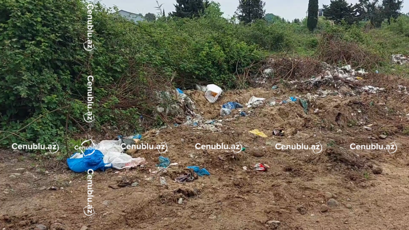 Astarada magistral yolun kənarı zibilliyə çevrilib