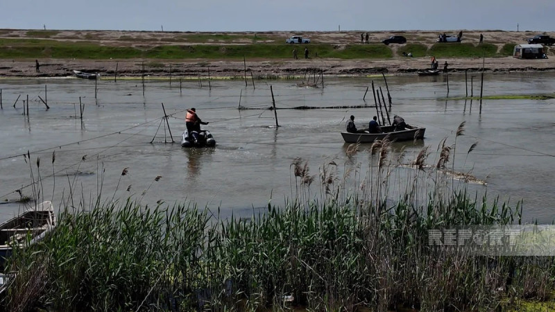 Neftçalada reyd keçirilib, qanunsuz yerləşdirilən balıq torları yığışdırılıb