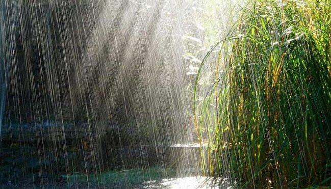 Yağıntılı hava davam edir - FAKTİKİ HAVA