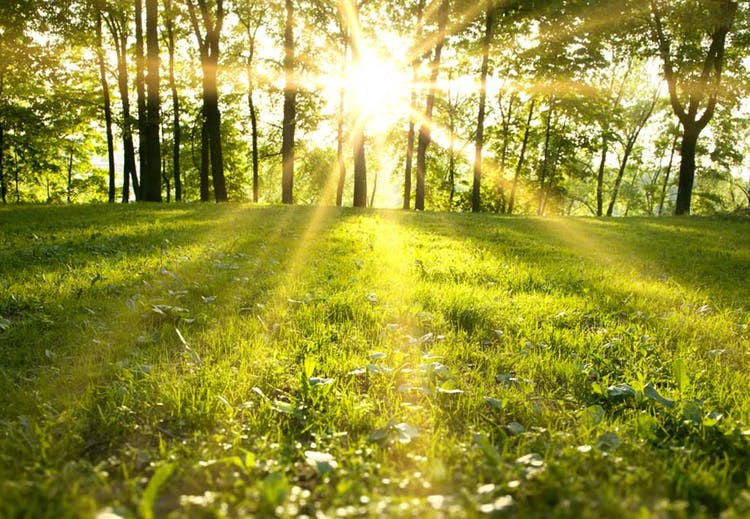 Sabah hava necə olacaq?