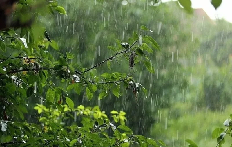 Cənubda FAKTİKİ HAVA