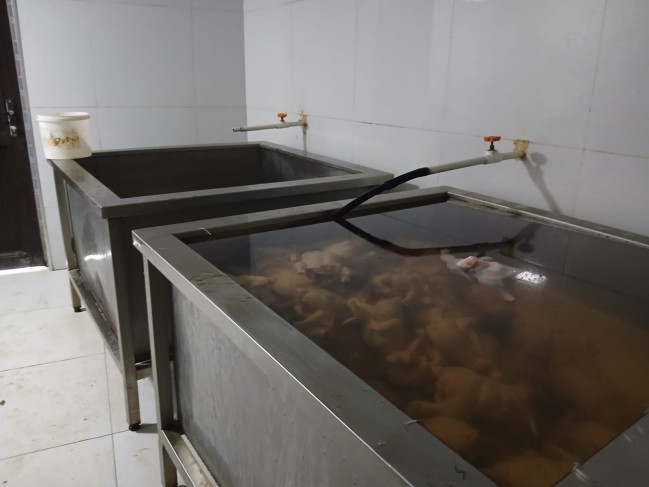 Salyanda evdə qanunsuz quş kəsimi məntəqəsi aşkarlanıb