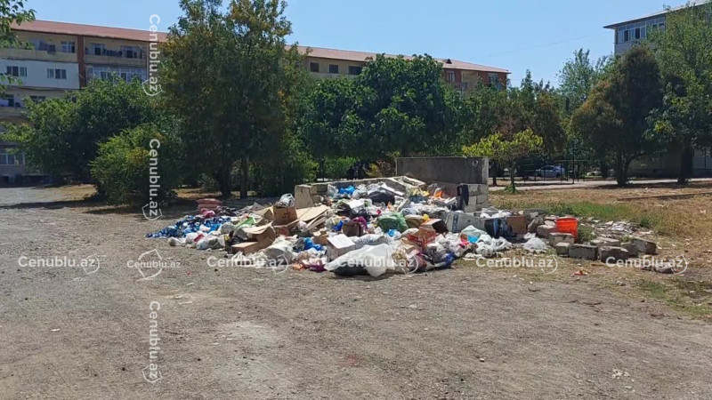 Lənkəranda zibil daşınmır, üfunət yayılır