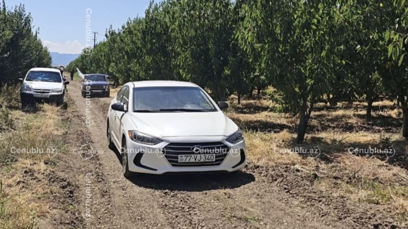Cəlilabadda 21 yaşlı gənc suvarma hovuzunda boğulub