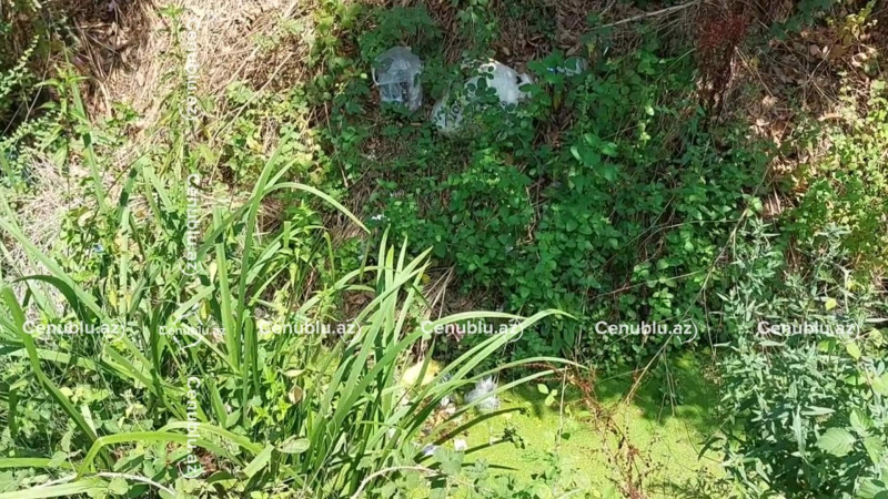 Lənkəranda baxımsız kanal daşqın təhlükəsi yaradır