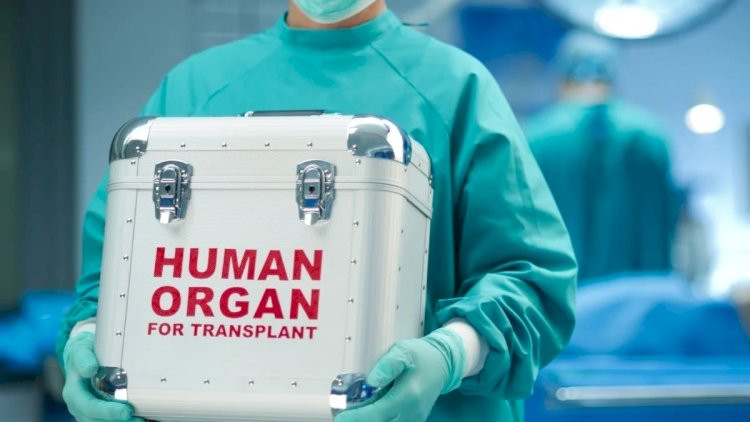 1400-dən artıq şəxs orqan və toxuma transplantasiyası üçün növbə gözləyir - RƏSMİ